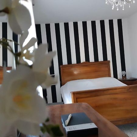 Willa Casa Annunziata, Borgo E Mare A Badolato Badolato Marina Zewnętrze zdjęcie